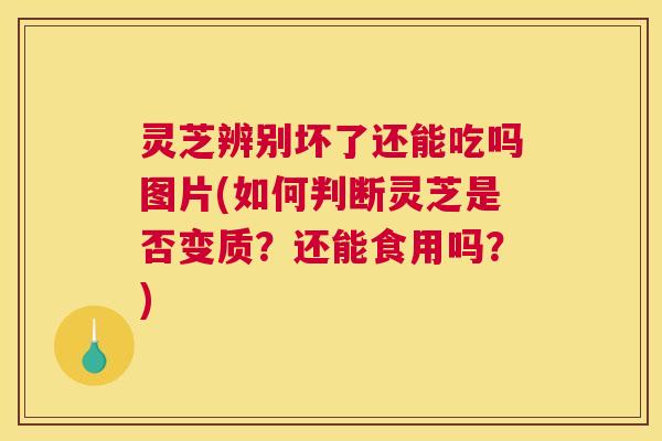 灵芝辨别坏了还能吃吗图片(如何判断灵芝是否变质？还能食用吗？)