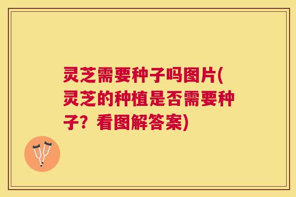 灵芝需要种子吗图片(灵芝的种植是否需要种子？看图解答案)