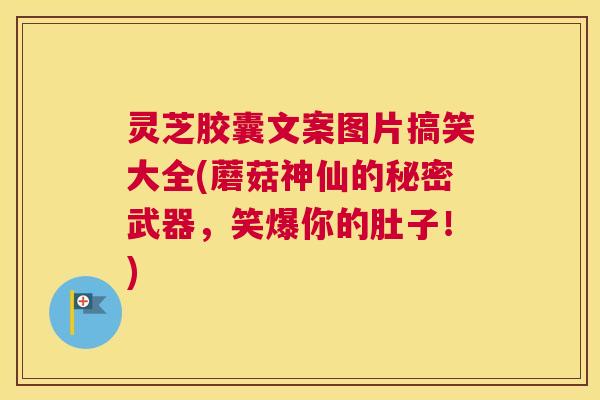 灵芝胶囊文案图片搞笑大全(蘑菇神仙的秘密武器，笑爆你的肚子！)