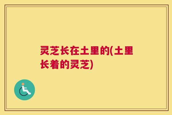 灵芝长在土里的(土里长着的灵芝)