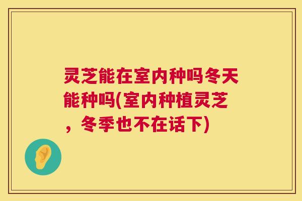 灵芝能在室内种吗冬天能种吗(室内种植灵芝，冬季也不在话下)