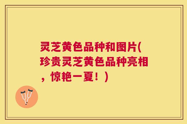 灵芝黄色品种和图片(珍贵灵芝黄色品种亮相,惊艳一夏!) 灵芝黄色品种和图片(珍贵灵芝黄色品种亮相,惊艳一夏!)