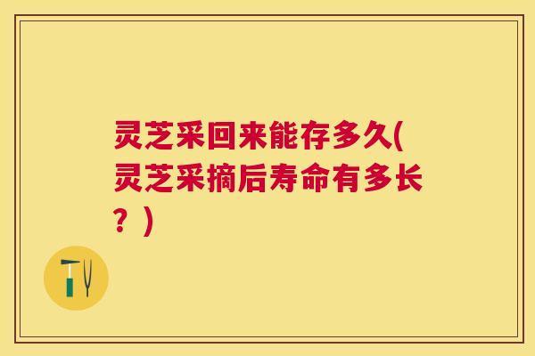 灵芝采回来能存多久(灵芝采摘后寿命有多长？)