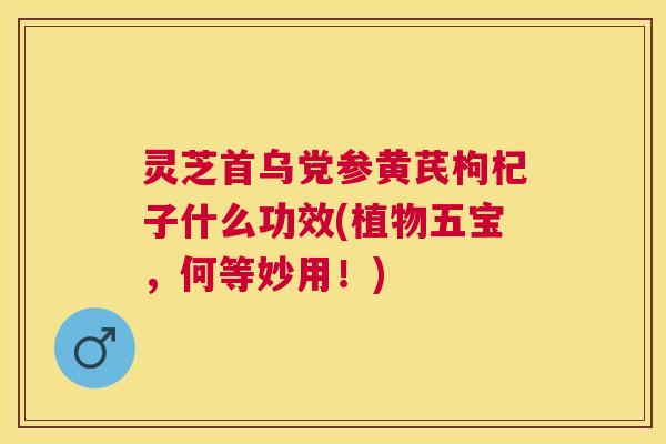 灵芝首乌党参黄芪枸杞子什么功效(植物五宝，何等妙用！)