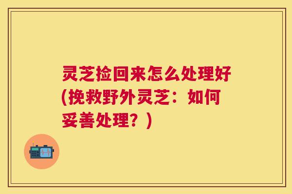 灵芝捡回来怎么处理好(挽救野外灵芝：如何妥善处理？)