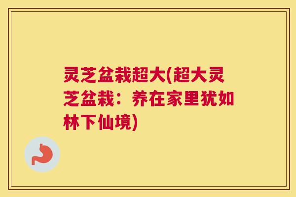 灵芝盆栽超大(超大灵芝盆栽：养在家里犹如林下仙境)