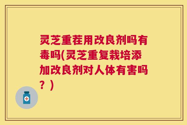灵芝重茬用改良剂吗有毒吗(灵芝重复栽培添加改良剂对人体有害吗?) 灵芝重茬用改良剂吗有毒吗(灵芝重复栽培添加改良剂对人体有害吗?)
