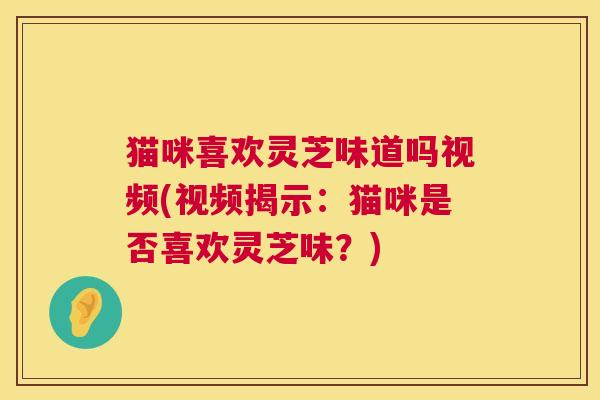 猫咪喜欢灵芝味道吗视频(视频揭示：猫咪是否喜欢灵芝味？)