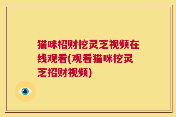 猫咪招财挖灵芝视频在线观看(观看猫咪挖灵芝招财视频)