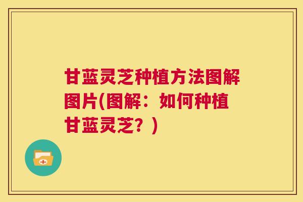 甘蓝灵芝种植方法图解图片(图解：如何种植甘蓝灵芝？)