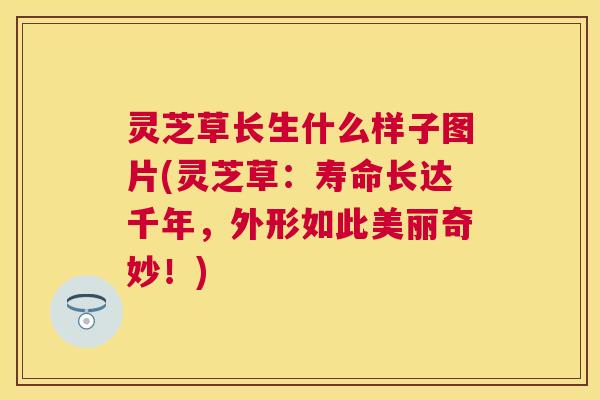 灵芝草长生什么样子图片(灵芝草：寿命长达千年，外形如此美丽奇妙！)