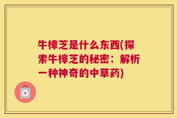 牛樟芝是什么东西(探索牛樟芝的秘密：解析一种神奇的中草药)