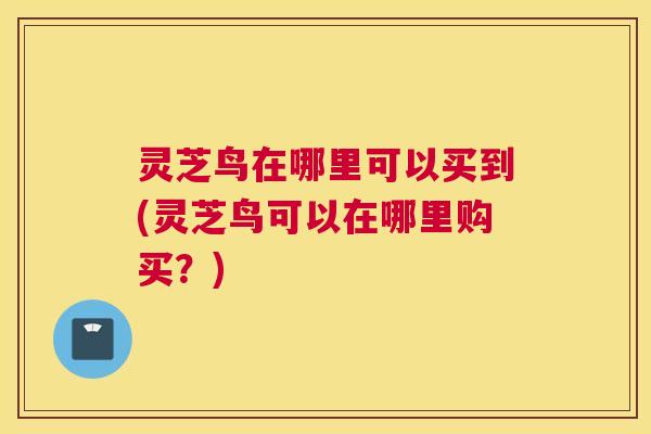 灵芝鸟在哪里可以买到(灵芝鸟可以在哪里购买？)