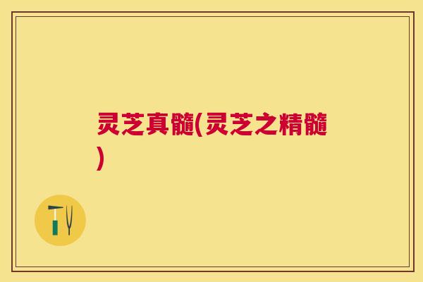 灵芝真髓(灵芝之精髓)