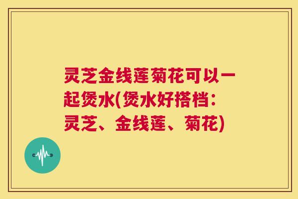 灵芝金线莲菊花可以一起煲水(煲水好搭档：灵芝、金线莲、菊花)