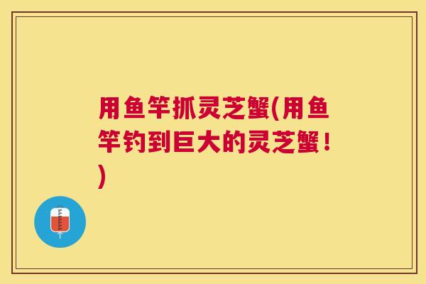 用鱼竿抓灵芝蟹(用鱼竿钓到巨大的灵芝蟹！)