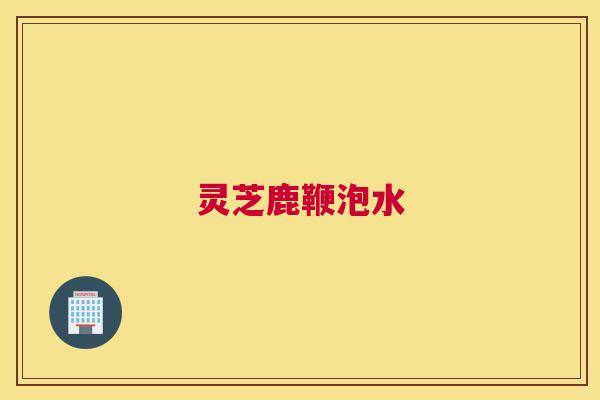 灵芝鹿鞭泡水