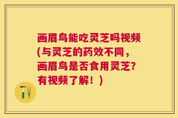 画眉鸟能吃灵芝吗视频(与灵芝的药效不同，画眉鸟是否食用灵芝？有视频了解！)