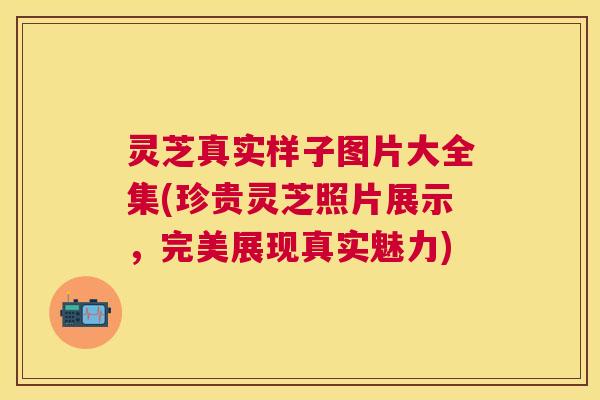 灵芝真实样子图片大全集(珍贵灵芝照片展示，完美展现真实魅力)