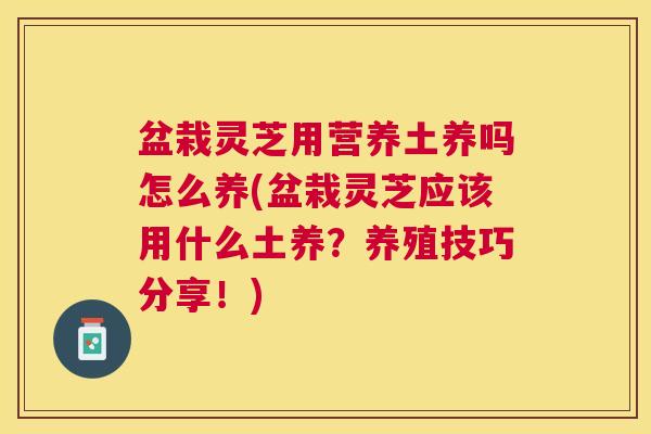 盆栽灵芝用营养土养吗怎么养(盆栽灵芝应该用什么土养?养殖技巧分享!) 盆栽灵芝用营养土养吗怎么养(盆栽灵芝应该用什么土养?养殖技巧分享!)