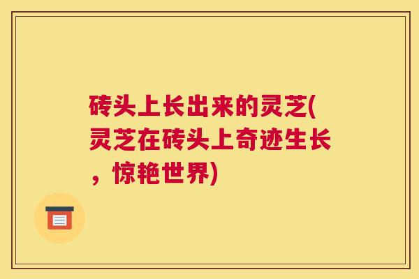 砖头上长出来的灵芝(灵芝在砖头上奇迹生长，惊艳世界)