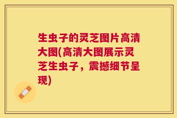 生虫子的灵芝图片高清大图(高清大图展示灵芝生虫子，震撼细节呈现)