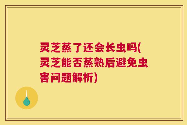 灵芝蒸了还会长虫吗(灵芝能否蒸熟后避免虫害问题解析) 灵芝蒸了还会长虫吗(灵芝能否蒸熟后避免虫害问题解析)