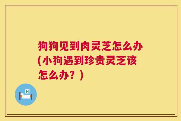 狗狗见到肉灵芝怎么办(小狗遇到珍贵灵芝该怎么办？)