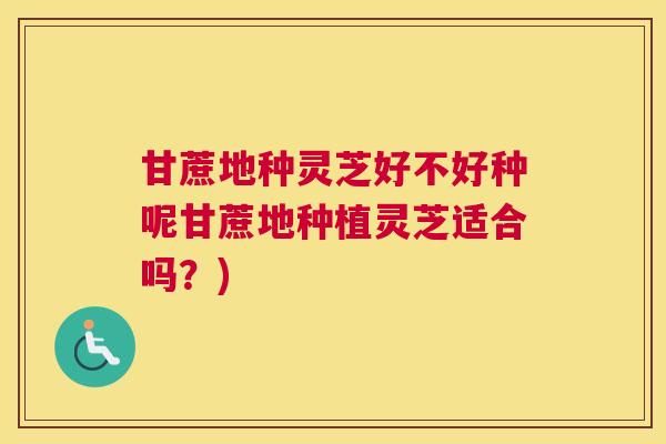 甘蔗地种灵芝好不好种呢甘蔗地种植灵芝适合吗？)