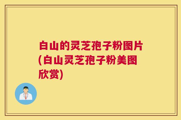白山的灵芝孢子粉图片(白山灵芝孢子粉美图欣赏)