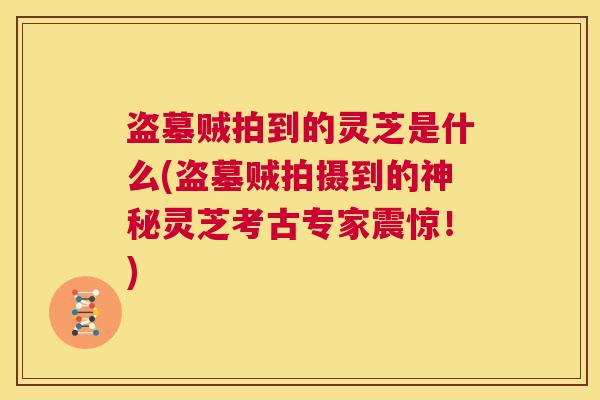 盗墓贼拍到的灵芝是什么(盗墓贼拍摄到的神秘灵芝考古专家震惊！)