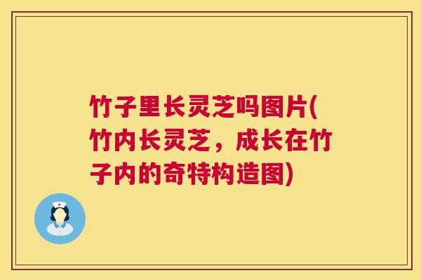 竹子里长灵芝吗图片(竹内长灵芝，成长在竹子内的奇特构造图)
