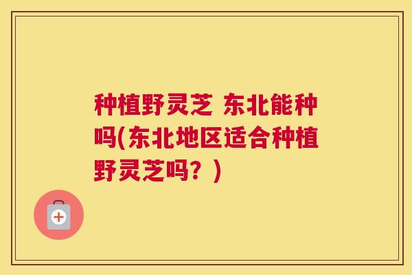 种植野灵芝 东北能种吗(东北地区适合种植野灵芝吗？)