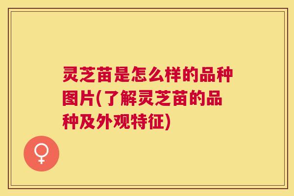 灵芝苗是怎么样的品种图片(了解灵芝苗的品种及外观特征)