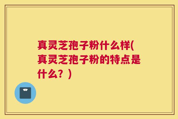 真灵芝孢子粉什么样(真灵芝孢子粉的特点是什么？)