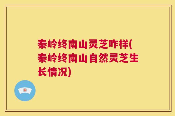 秦岭终南山灵芝咋样(秦岭终南山自然灵芝生长情况)