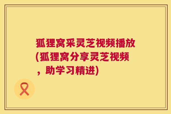 狐狸窝采灵芝视频播放(狐狸窝分享灵芝视频，助学习精进)