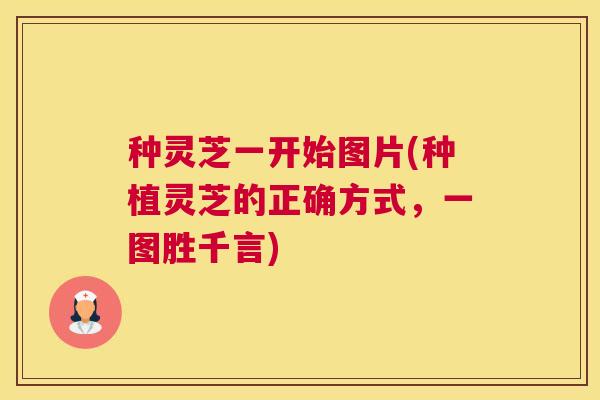 种灵芝一开始图片(种植灵芝的正确方式，一图胜千言)