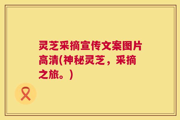 灵芝采摘宣传文案图片高清(神秘灵芝，采摘之旅。)