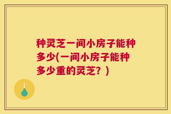 种灵芝一间小房子能种多少(一间小房子能种多少重的灵芝？)