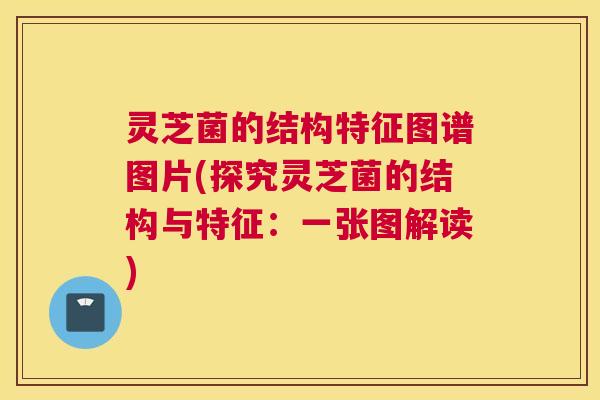 灵芝菌的结构特征图谱图片(探究灵芝菌的结构与特征：一张图解读)