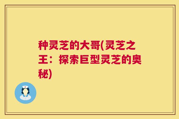 种灵芝的大哥(灵芝之王：探索巨型灵芝的奥秘)