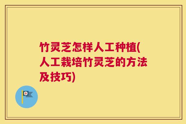 竹灵芝怎样人工种植(人工栽培竹灵芝的方法及技巧)