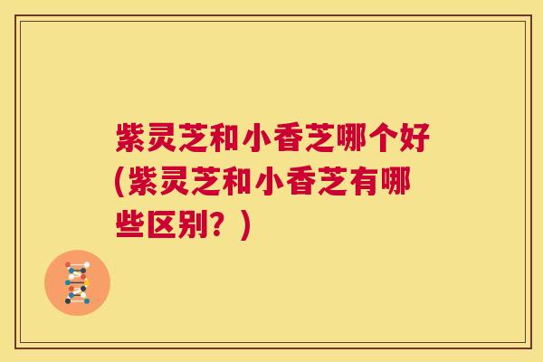 紫灵芝和小香芝哪个好(紫灵芝和小香芝有哪些区别？)