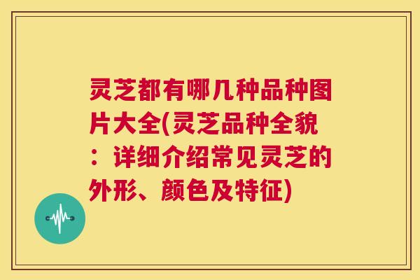 灵芝都有哪几种品种图片大全(灵芝品种全貌：详细介绍常见灵芝的外形、颜色及特征)