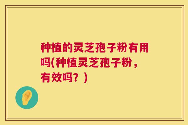 种植的灵芝孢子粉有用吗(种植灵芝孢子粉，有效吗？)