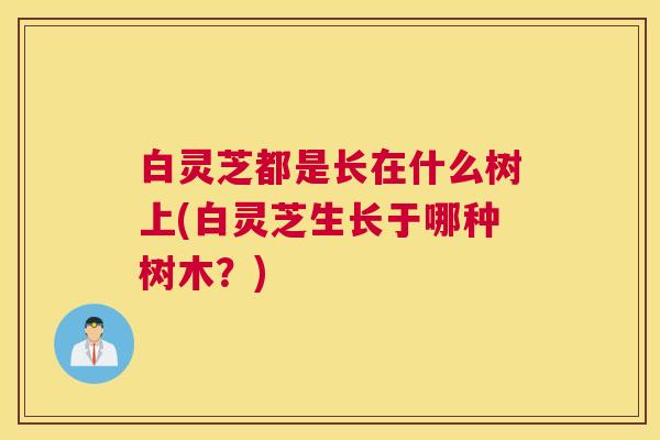 白灵芝都是长在什么树上(白灵芝生长于哪种树木？)