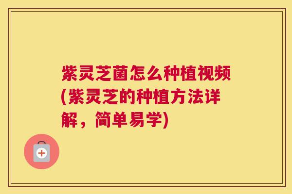 紫灵芝菌怎么种植视频(紫灵芝的种植方法详解，简单易学)
