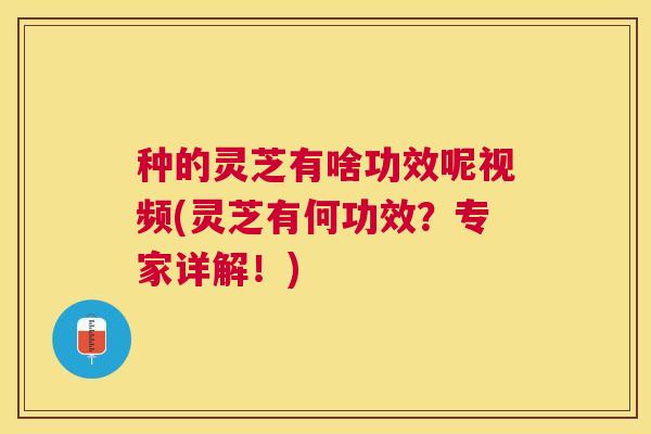 种的灵芝有啥功效呢视频(灵芝有何功效？专家详解！)