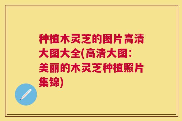种植木灵芝的图片高清大图大全(高清大图：美丽的木灵芝种植照片集锦)